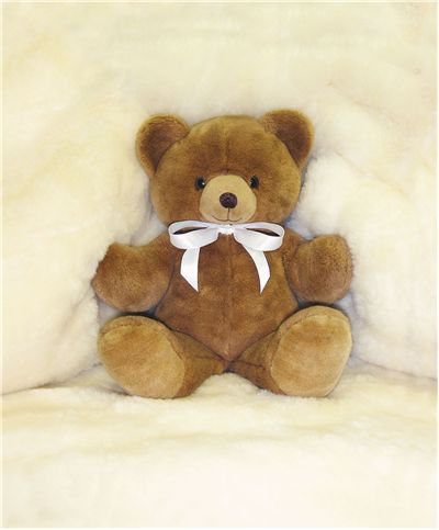 the first teddy bear